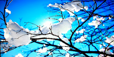 jump-on-spring-market